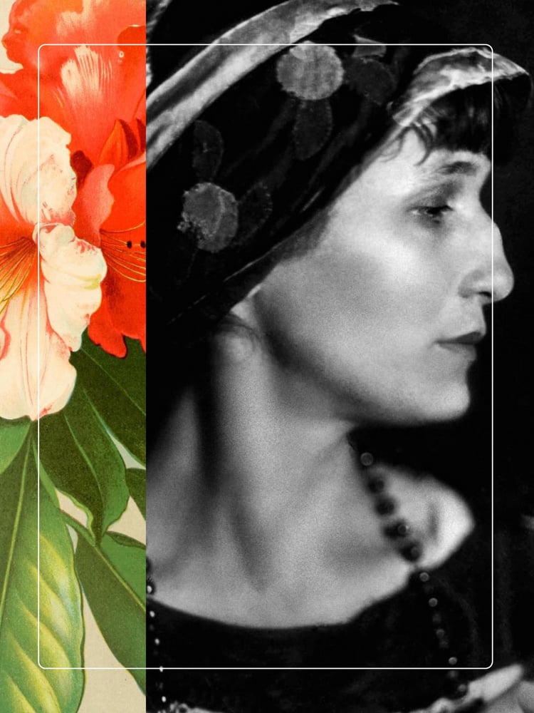 Image of AKHMATOVA
