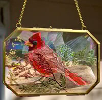 Cardinal 