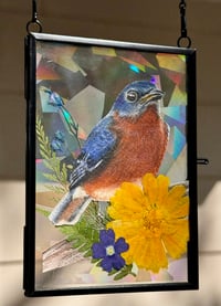 Bluebird