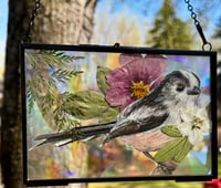 Long Tailed Tit