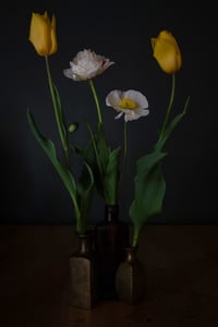 Still Life with Found Items, Poppies, and Tulips