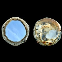 Image 2 of Sea Shell Mini Mirrors