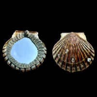 Image 4 of Sea Shell Mini Mirrors