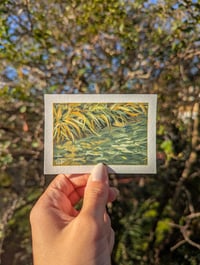 Grassy Riverbank