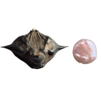 Image 3 of Night Bat 🦇 Necklace 