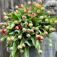 Image 1 of Mother's Day Spring Tulip Bouquet 