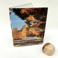 Image 1 of vintage eye/washington autumn postcard book