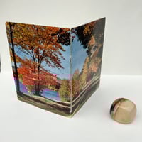 Image 3 of vintage eye/washington autumn postcard book