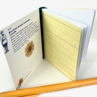 Image 2 of vintage canada/agate postcard book