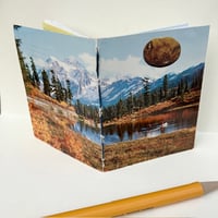 Image 1 of vintage washington autumn postcard book