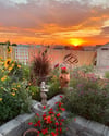 Cottage Garden Sunrise - Jigsaw Puzzle - 252 Pieces