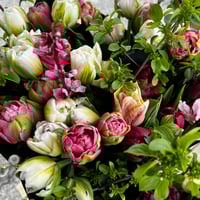 Image 2 of Mother's Day Spring Tulip Bouquet 