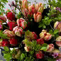 Image 3 of Mother's Day Spring Tulip Bouquet 
