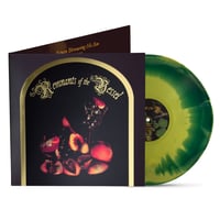 Image 2 of FAETOOTH - Remnants of the Vessel [vinyl lp]