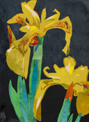 Image of Original Yellow Iris Watercolor Painting