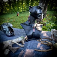 Image 2 of ☽ Fraxinus Boreal ☾