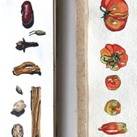 Image 13 of *New* Rainbow Reverie ONLINE *Earlybird price*