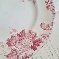 Image 3 of Gorgeous Weathered Pink French Plate