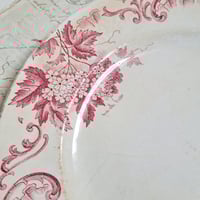 Image 4 of Gorgeous Weathered Pink French Plate