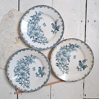 Image 1 of Gorgeous Worn And Weathered French Plates
