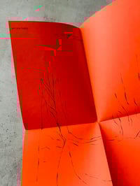 Image 2 of OPA 06 are you happy