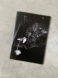 Image 1 of Pathology of Ruin: A Clinical Exploration of Berlin’s Burned Automobiles by NICCOLÒ PARODI