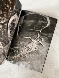 Image 4 of Pathology of Ruin: A Clinical Exploration of Berlin’s Burned Automobiles by NICCOLÒ PARODI