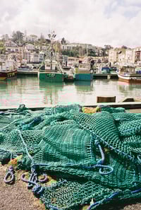 Image 2 of Retour de pêche 🍑