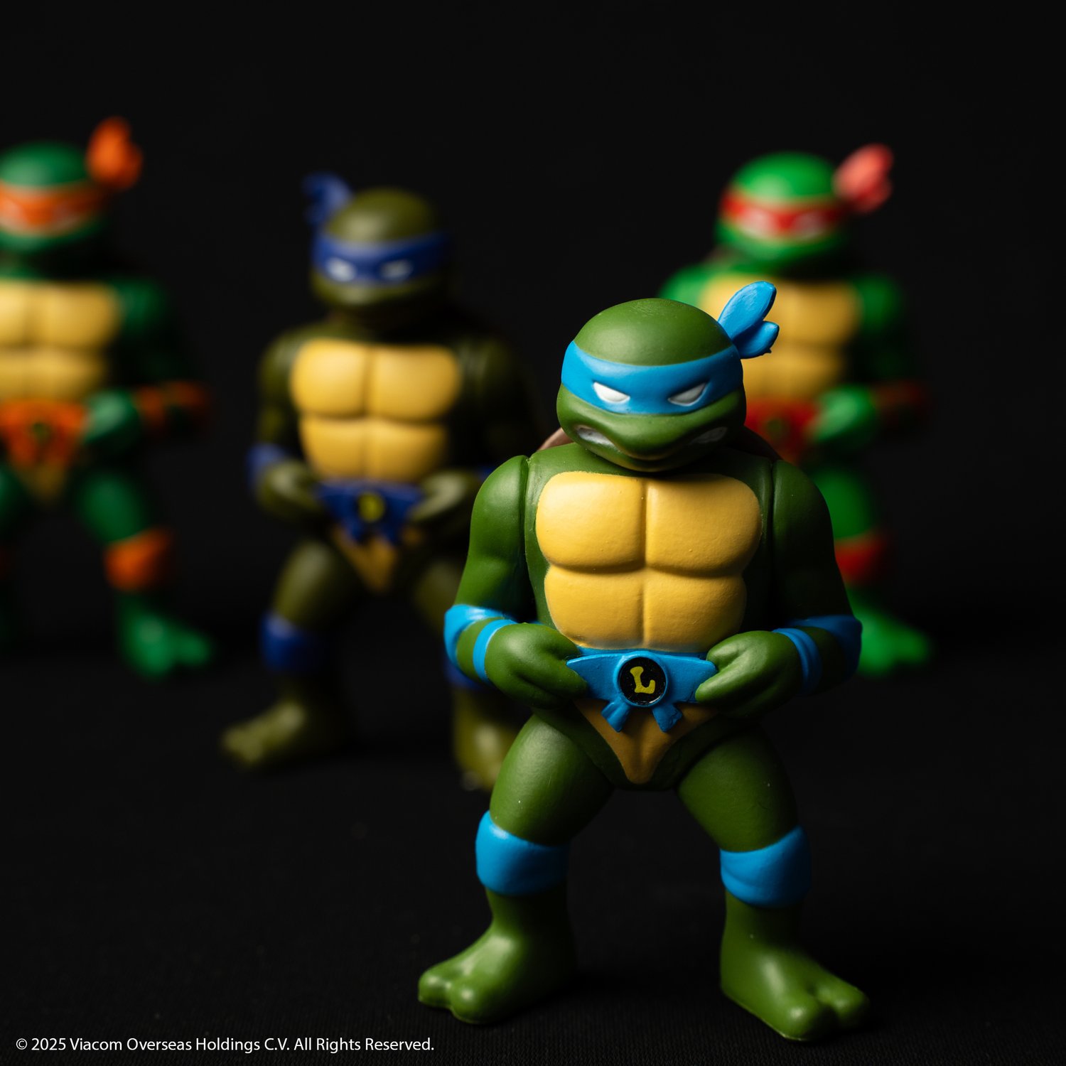 Image of RXH TMNT TURTLE FIGURE SET