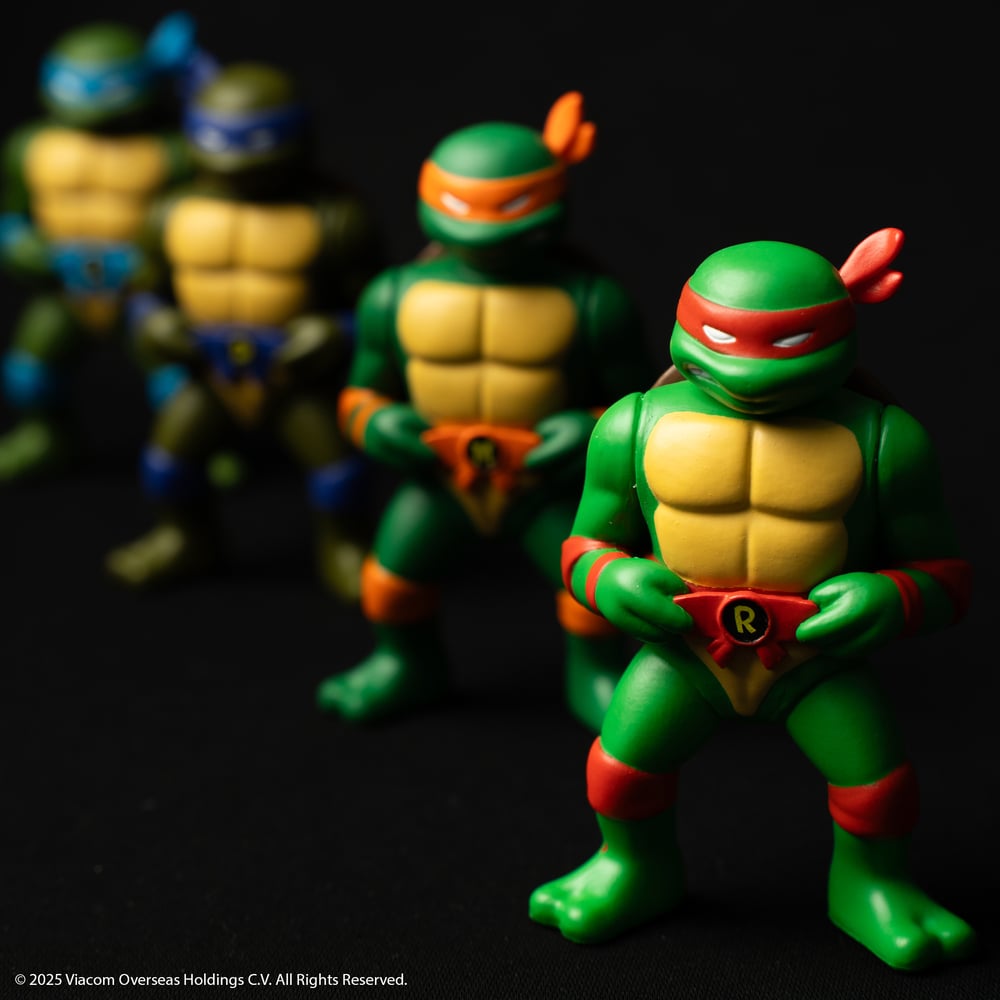 Image of RXH TMNT TURTLE FIGURE SET