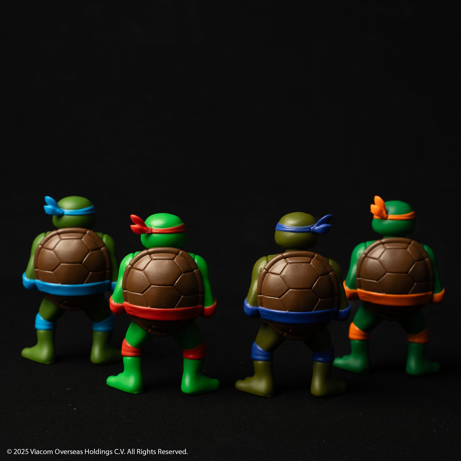 Image of RXH TMNT TURTLE FIGURE SET