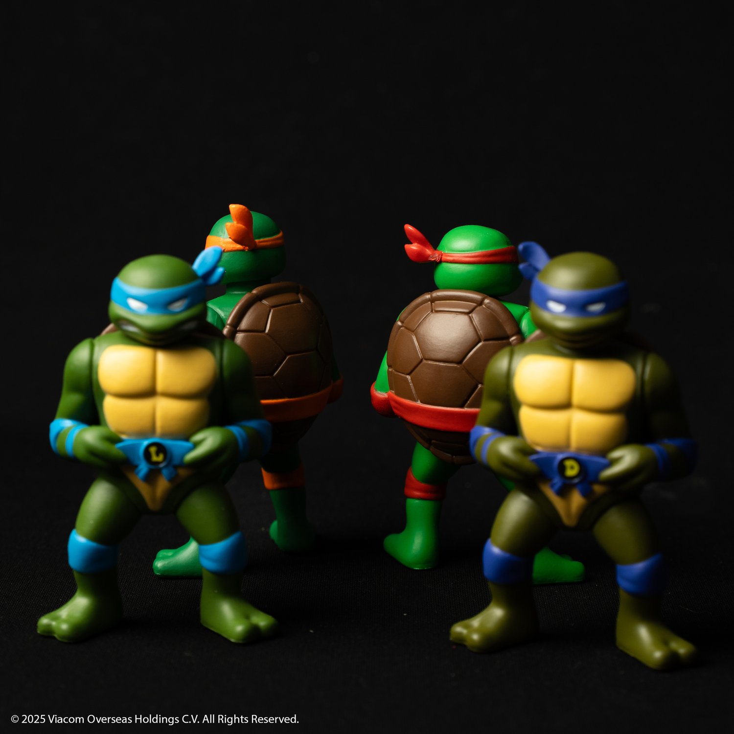 Image of RXH TMNT TURTLE FIGURE SET