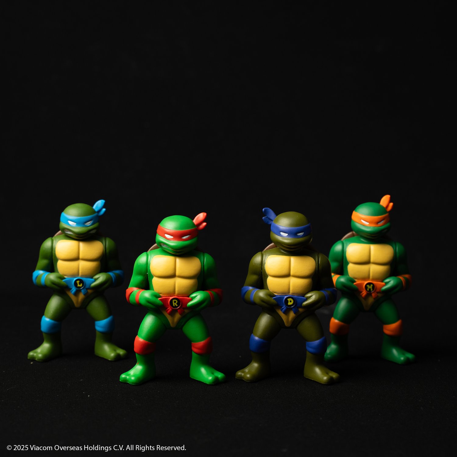 Image of RXH TMNT TURTLE FIGURE SET