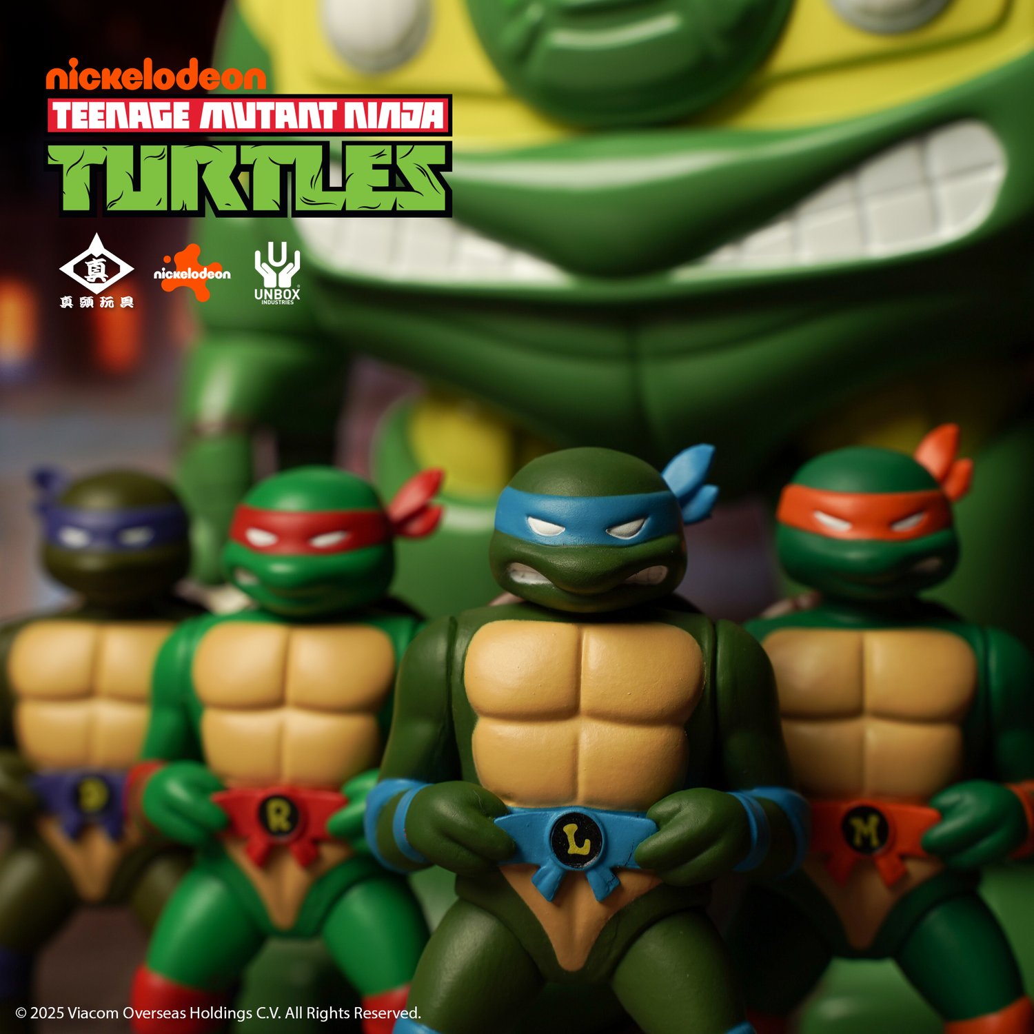 Image of RXH TMNT TURTLE FIGURE SET
