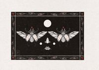 Bug eyes - discontinued design (last print remaining for now) 