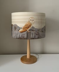 Image 1 of Barn Owl