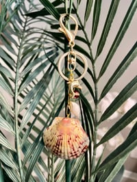 Image 4 of Dolphin and Scallop Keychain/Bag Charm 