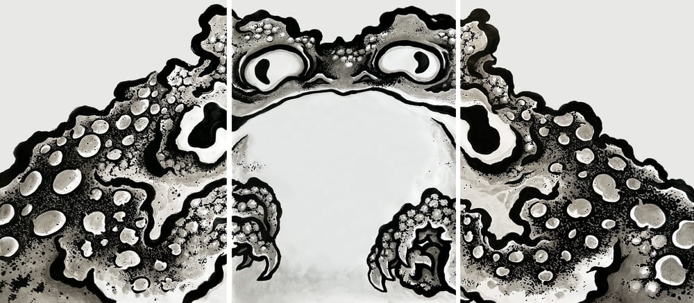 Image of El Gato Chimney - Master Toad