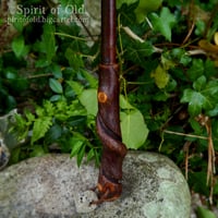 Image 3 of Twisted Blackthorn Blasting Rod (BR009)
