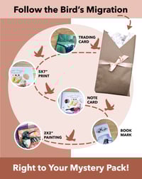 Image 1 of Migration Mystery Pack - Spring 2025 Edition