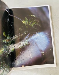 Image 4 of  Viscose Magazine #7 – Scent