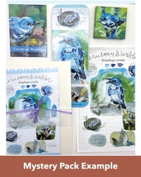 Image 2 of Migration Mystery Pack - Spring 2025 Edition