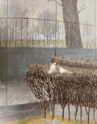 Image 4 of Mary Potter A Life Of Painting
