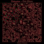Image of Unbegotten / Velo Misere – Silencio y Demencia 12" LP
