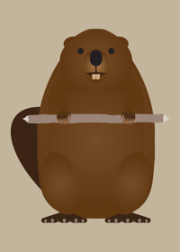 Beaver 