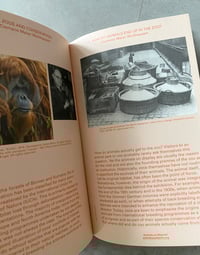 Image 5 of ZOO Index Reader by TEREZIE ŠTINDLOVÁ