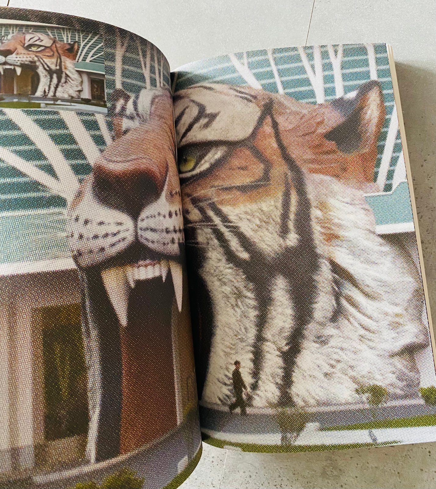 ZOO Index Reader by TEREZIE ŠTINDLOVÁ | 12:15