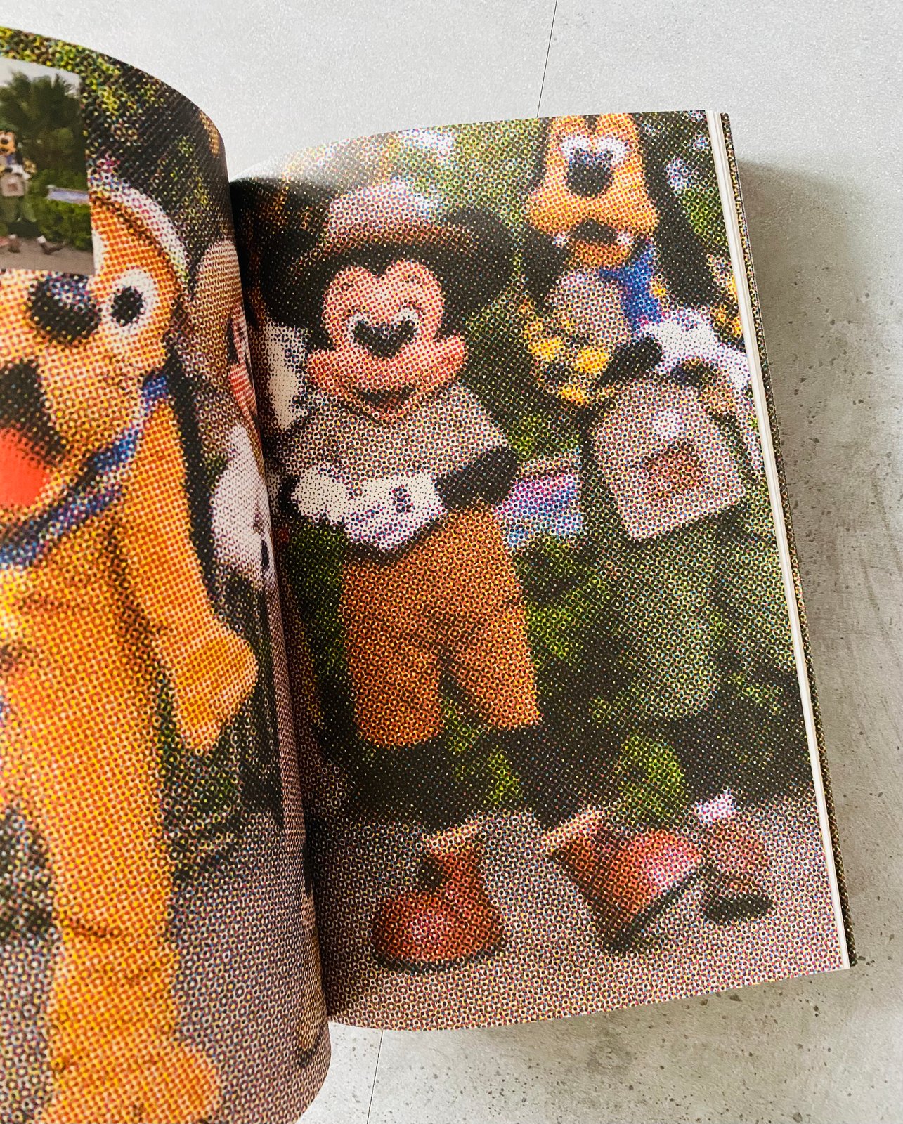 ZOO Index Reader by TEREZIE ŠTINDLOVÁ | 12:15