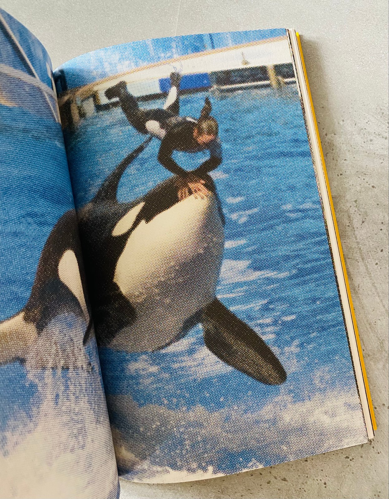 ZOO Index Reader by TEREZIE ŠTINDLOVÁ | 12:15