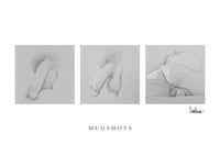Image 1 of CARD: Mugshots – Bruce/Palm Springs